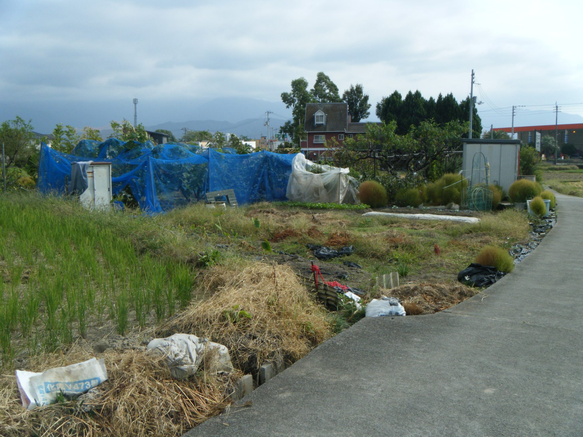 No.7473 松山市平井町