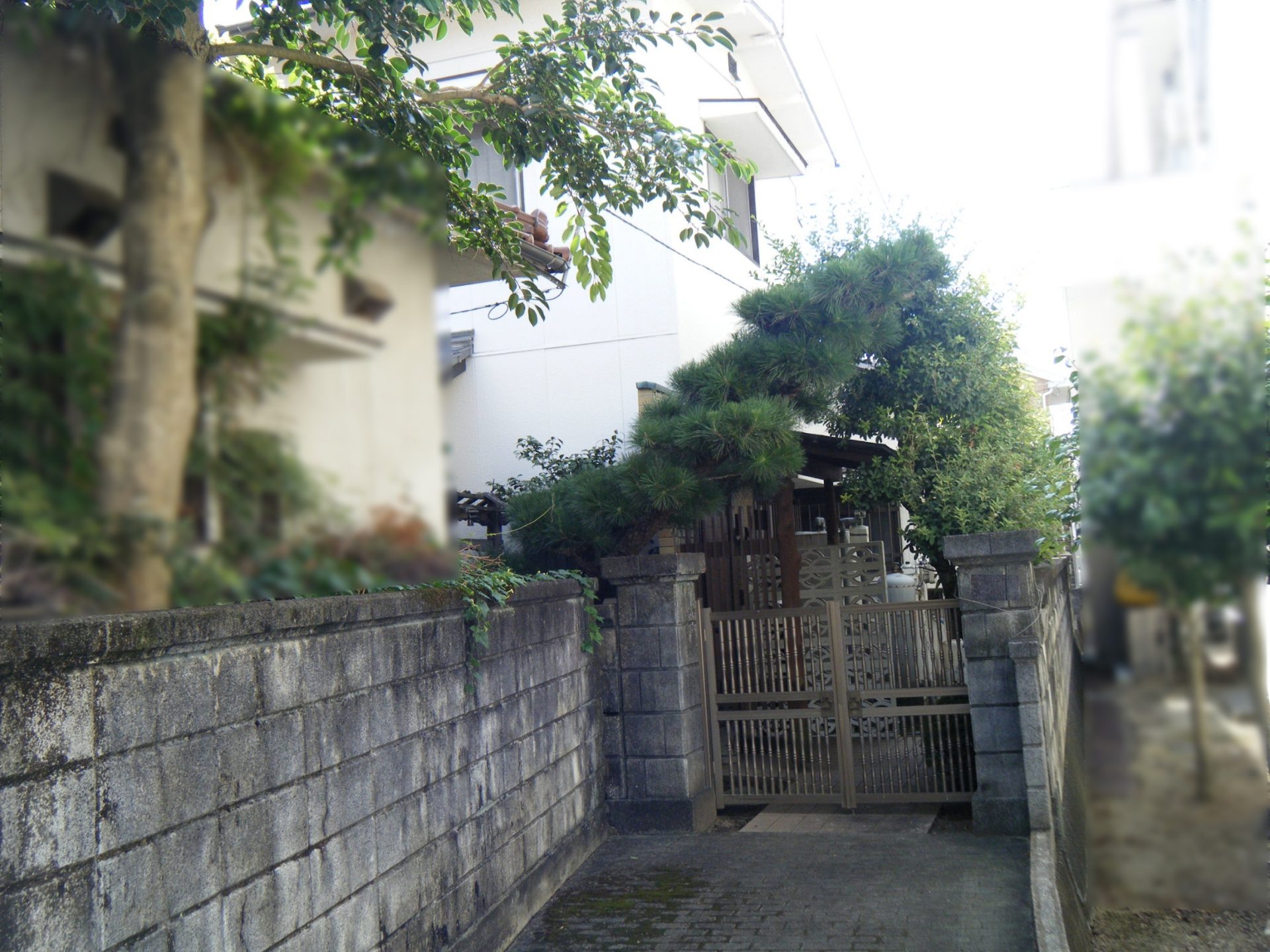 No.8241　松山市鷹子町
